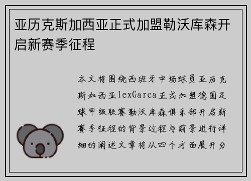 亚历克斯加西亚正式加盟勒沃库森开启新赛季征程
